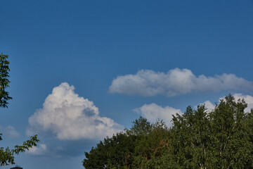 Landscape. Cloudy sky. Photo from a walk in the garden outside the city.