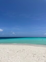 Fototapeta premium beach with sky
