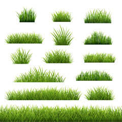 Big Set Green Grass Isolated White Background