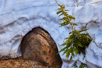 Boulder and Evergreen Emerge from Melting Snow Crater Lake Eye Level View