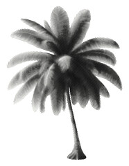 Obraz premium palm tree isolated retro grunge halftone dotted vintage cut-out collage element for mixed media design