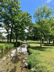 the park on a sunny day 
