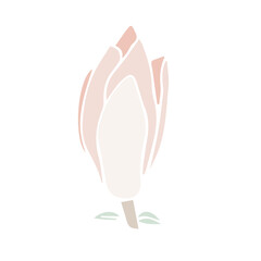 Vector magnolia flower silhouette, illustration in soft pastel colors. isolated floral element. flower bud of different shapes for wedding design, prints, templates, greeting cards, invitations