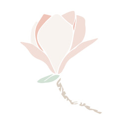 Fototapeta premium Vector magnolia flower silhouette, illustration in soft pastel colors. isolated floral element. flower bud of different shapes for wedding design, prints, templates, greeting cards, invitations