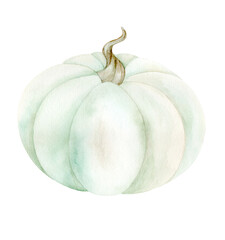 White pumpkin. Watercolor illustration in pastel colors on white background. The drawing is drawn by hand. Suitable for cards, invitations and textiles, scrapbooking.