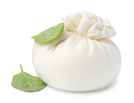 Fresh delicious burrata cheese and basil isolated on white