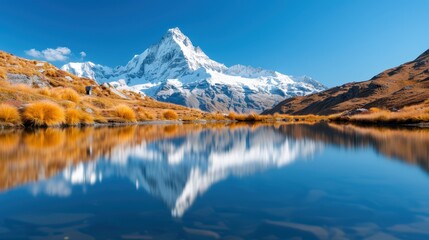 Fototapeta premium Alpine lake reflecting mountains encircled by yellow grasses, highlighted by the bright blue sky and vivid sunlight, offering a serene and tranquil atmosphere.