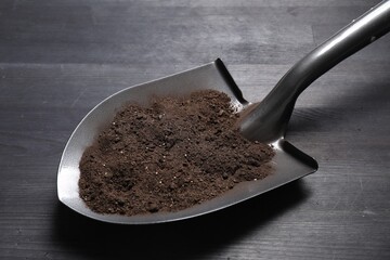 Metal shovel with soil on black wooden table, closeup