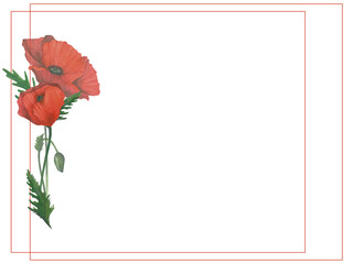 Rectangular frame of watercolor red poppies. Hand drawn, isolated on a transparent background. For invitation templates, banners, cards