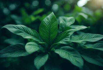 plant green leaf graphic nature texture fern generative middle jungle background image ai a tree dark pattern blue art