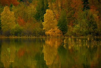 Fototapeta premium Autumn scene with trees and a lake