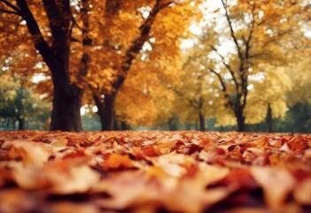 autumn foliage colorful park falling gold bright bokeh natural seasonal background tree beautiful landscape season leaf leaves fall scene