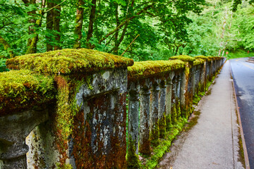 Mossy Stone Bridge Railing in Lush Forest Eye-Level Perspective