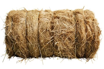 Long roll of hay is sitting on white background