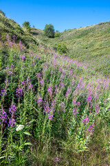 Fototapeta premium Belasitsa Mountain around Kongur peak, Bulgaria