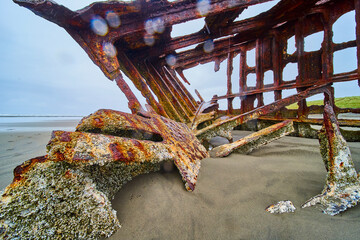 Rustic Shipwreck of Peter Iredale on Sandy Beach Low Perspective