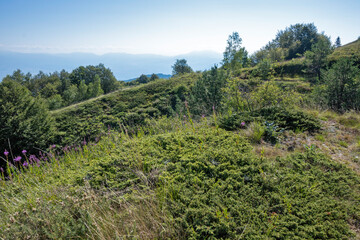 Fototapeta premium Belasitsa Mountain around Kongur peak, Bulgaria