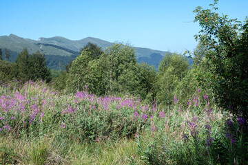 Obraz premium Belasitsa Mountain around Kongur peak, Bulgaria