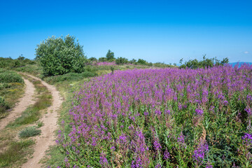 Belasitsa Mountain around Kongur peak, Bulgaria