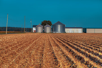 Harvested Corn Field with Grain Bins.  Freshly combined corn field with rows leading up to grain bins.   Oran MO