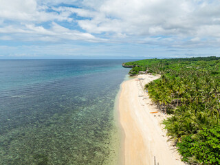 Drone view of boats and coconut trees in sandy beach. Beach in Lanas, San Jose. Romblon, Philippines.