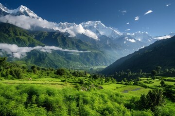 Obraz premium Green self-healing landscape