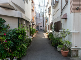 Naklejka premium 住宅が密集する路地裏の風景