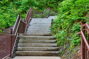 Fototapeta premium Concrete Staircase with Ornate Railings in Lush Forest Low Angle View