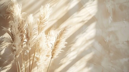 Aesthetic backdrop with pampas grass and reeds in neutral tones