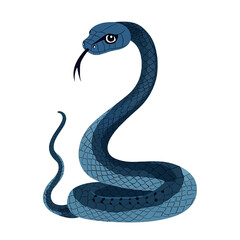 Fototapeta premium PNG Illustration of a Spiraling Swirling Snake in Vivid Colors