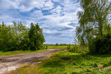 Obraz premium A rural road against a cloudy sky. A rustic landscape. Spring juicy foliage greens. Blue sky.
