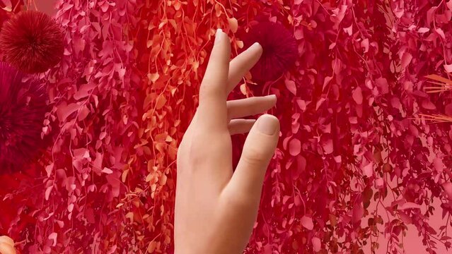 Fungus, fungal infection on a woman's nail, nail growth and health care