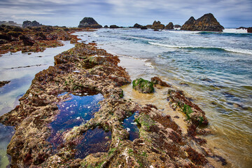 Fototapeta premium Rugged Seal Rock Coastline with Tidal Pools and Sea Stacks Low Angle