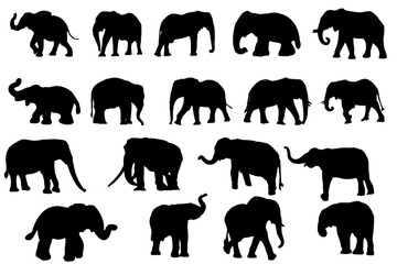 Elephant silhouette set vector illustration