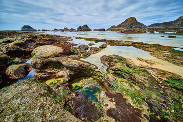 Rugged Coastal Tidepools and Rock Formations Low Angle View