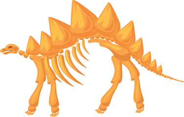 Stegosaurus dinosaur skeleton standing in side view, prehistoric animal bones from the jurassic period