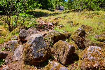 Rocky Forest Trail with Moss-Covered Boulders Eye-Level Perspective