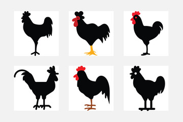 set of chicken