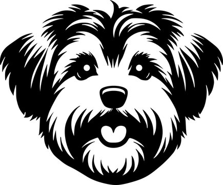 Cute Yorkie Terrier dog head Vector