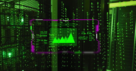 Image of chart on interface screen and binary data processing over dark computer servers