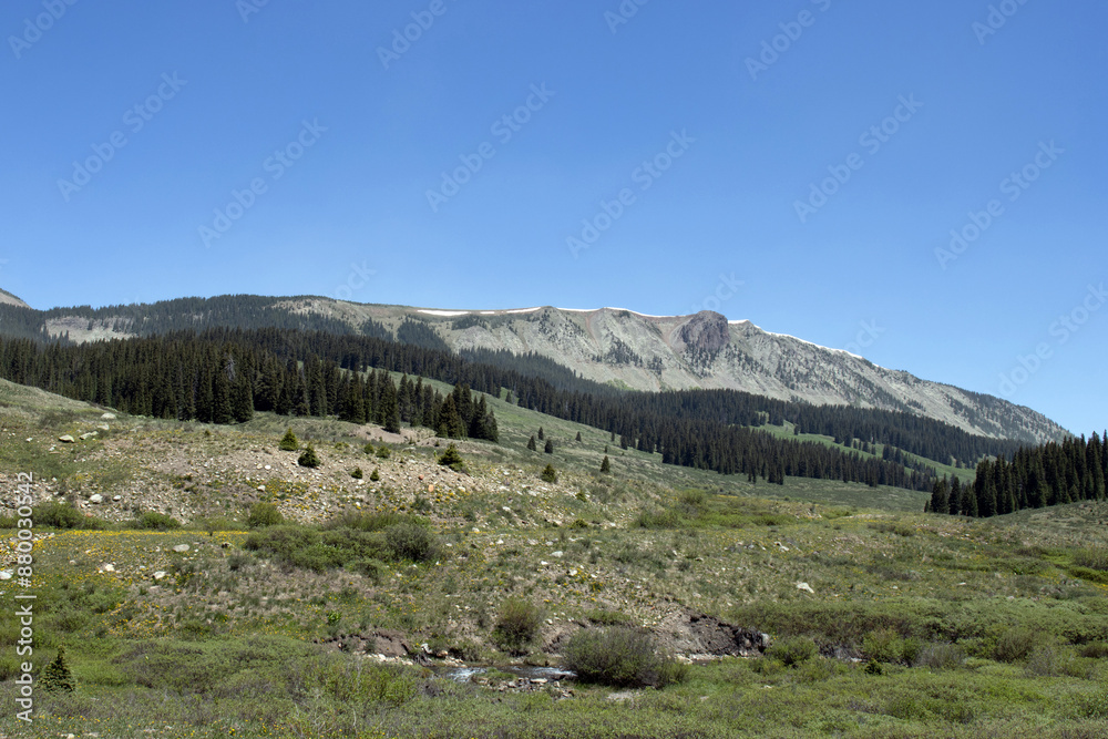 Wall mural Mountain, forest, and a wetland stream seen from Colorado’s San Juan Scenic and Historic Skyway in June