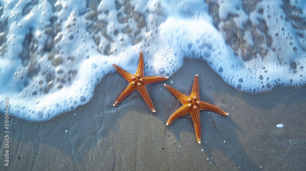 Sticker two starfish on beach with waves