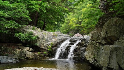 Beautiful summer scenery of Bogyeongsa Valley in Korea