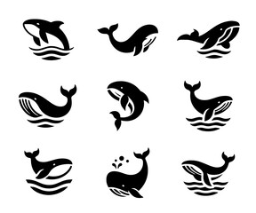9 pieces whale logo collection