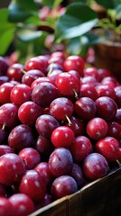 a glass bowl of purple grapes with leaves on it.
