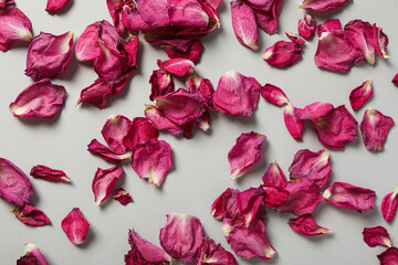 Fototapeta premium Dried rose petals on light background, top view