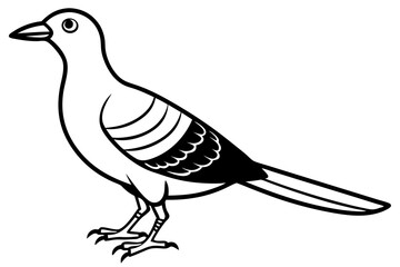 illustration of a bird icon vector line art