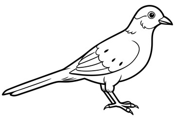 illustration of a bird icon vector line art