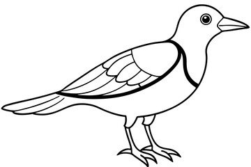 illustration of a bird icon vector line art