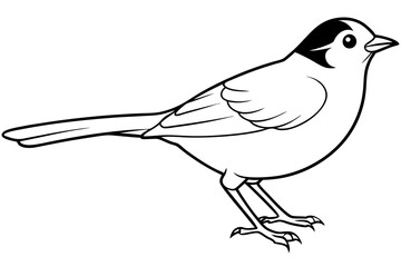 illustration of a bird icon vector line art